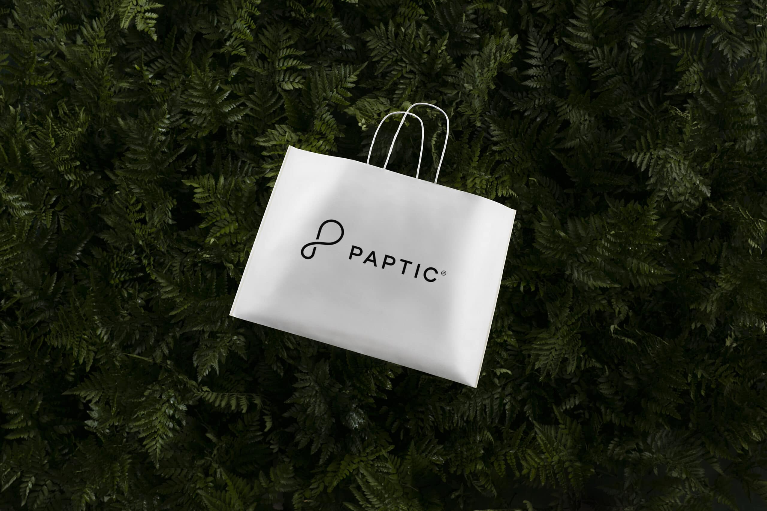 Image of Paptic bag